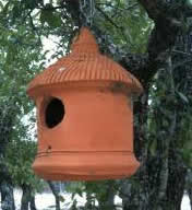 bird pot2